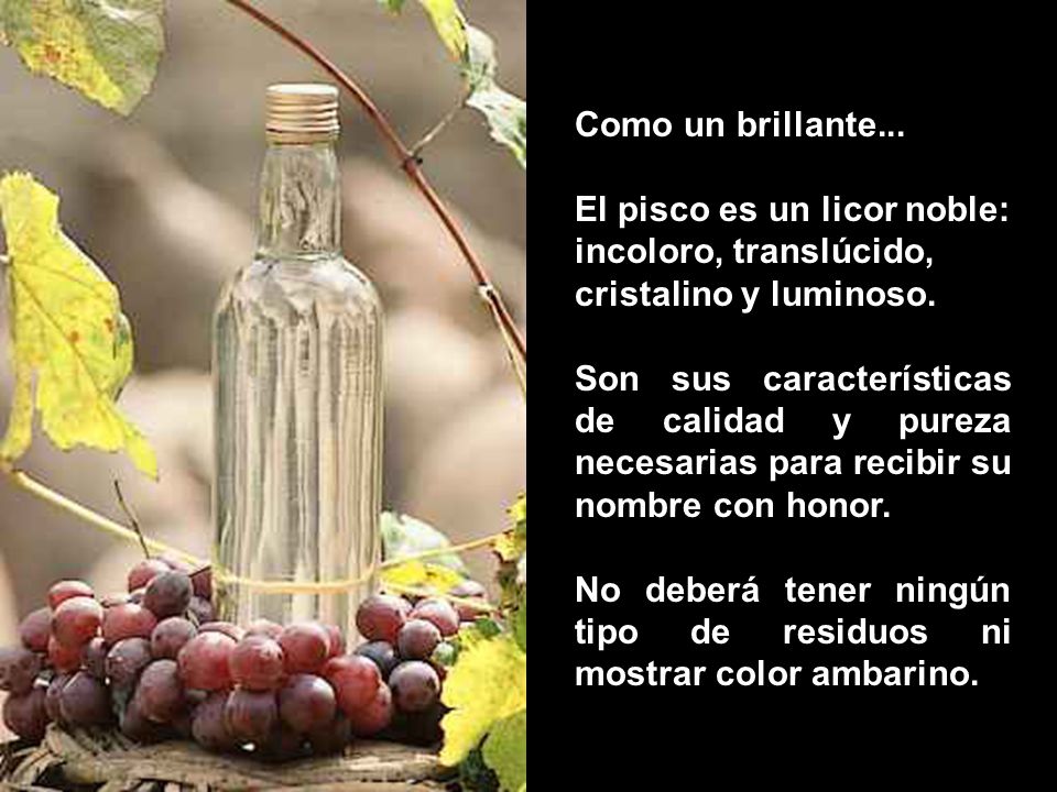 Como un brillante... El pisco es un licor noble: incoloro, translúcido, cristalino y luminoso.