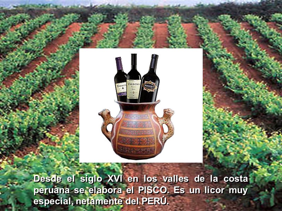 Desde el siglo XVI en los valles de la costa peruana se elabora el PISCO.