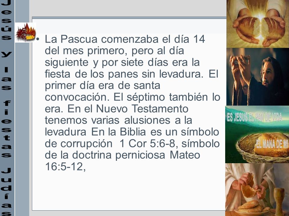 La Pascua comenzaba el día 14 del mes primero, pero al día siguiente y por siete días era la fiesta de los panes sin levadura. El primer día era de santa convocación. El séptimo también lo era. En el Nuevo Testamento tenemos varias alusiones a la levadura En la Biblia es un símbolo de corrupción 1 Cor 5:6-8, símbolo de la doctrina perniciosa Mateo 16:5-12,