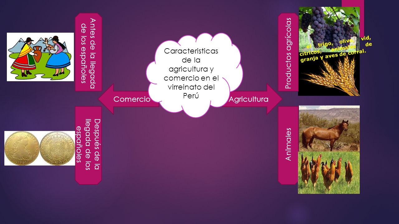 Antes de la llegada de los españoles Productos agrícolas
