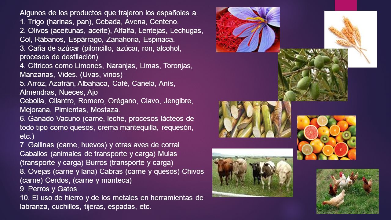 Algunos de los productos que trajeron los españoles a