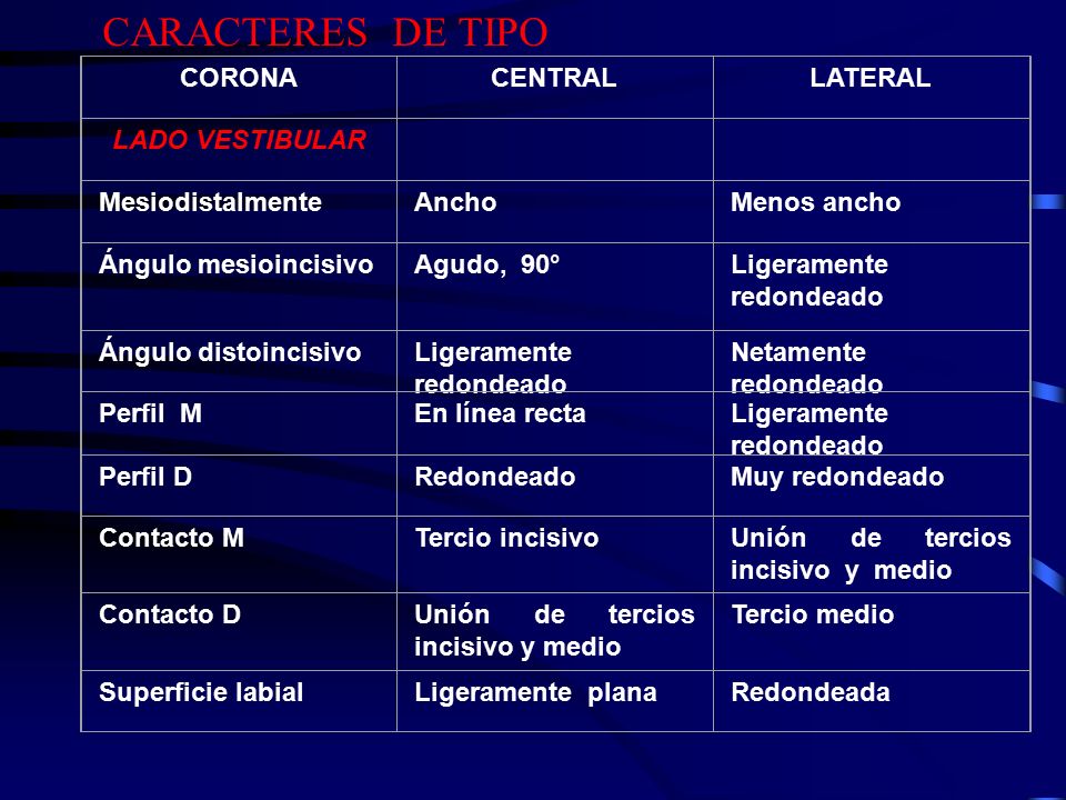 CARACTERES DE TIPO CORONA CENTRAL LATERAL LADO VESTIBULAR