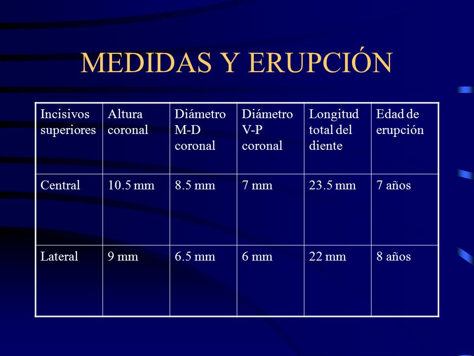 MEDIDAS Y ERUPCIÓN Incisivos superiores Altura coronal