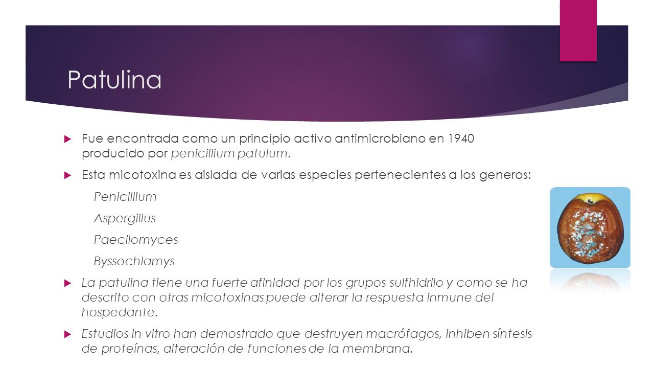 Patulina Fue encontrada como un principio activo antimicrobiano en 1940 producido por penicillium patulum.