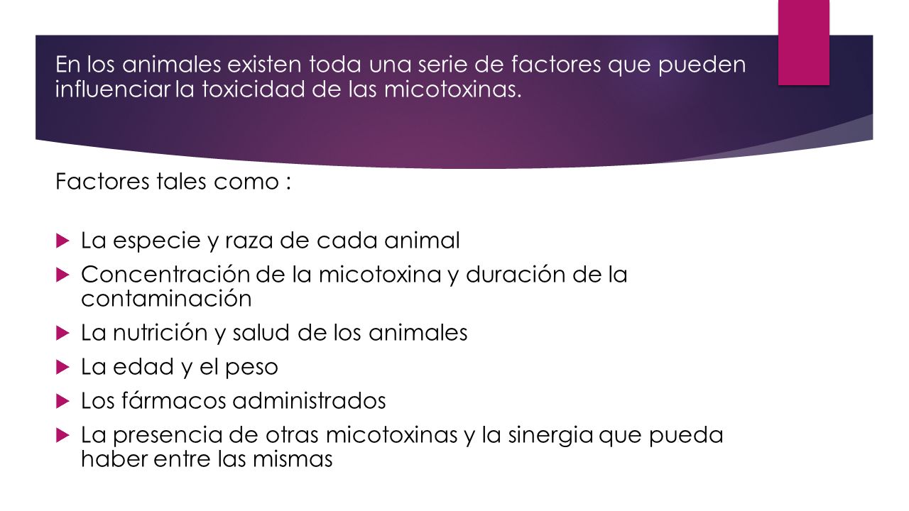 En los animales existen toda una serie de factores que pueden influenciar la toxicidad de las micotoxinas.