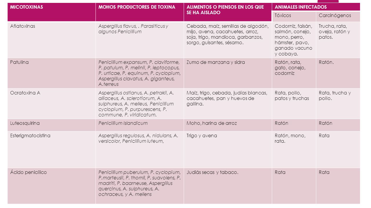 MICOTOXINAS MOHOS PRODUCTORES DE TOXINA. ALIMENTOS O PIENSOS EN LOS QUE SE HA AISLADO. ANIMALES INFECTADOS.
