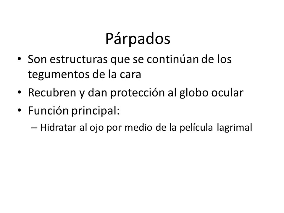 Párpados Son estructuras que se continúan de los tegumentos de la cara