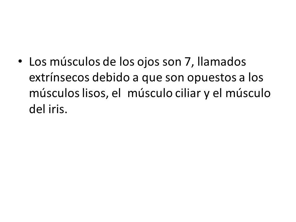 Los músculos de los ojos son 7, llamados extrínsecos debido a que son opuestos a los músculos lisos, el músculo ciliar y el músculo del iris.