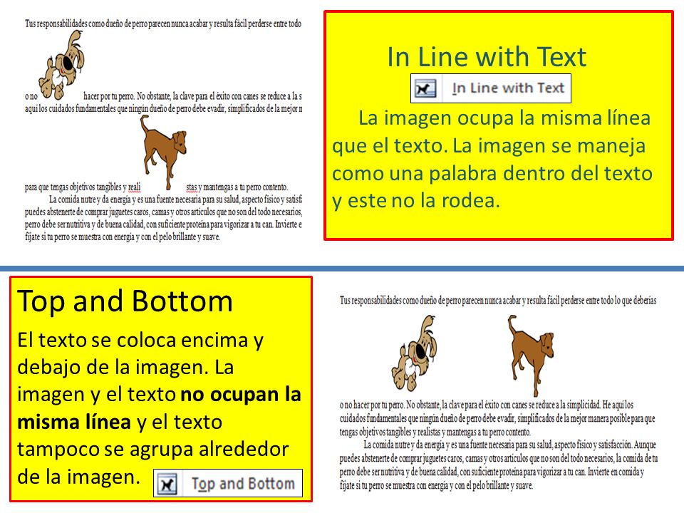 In Line with Text La imagen ocupa la misma línea que el texto