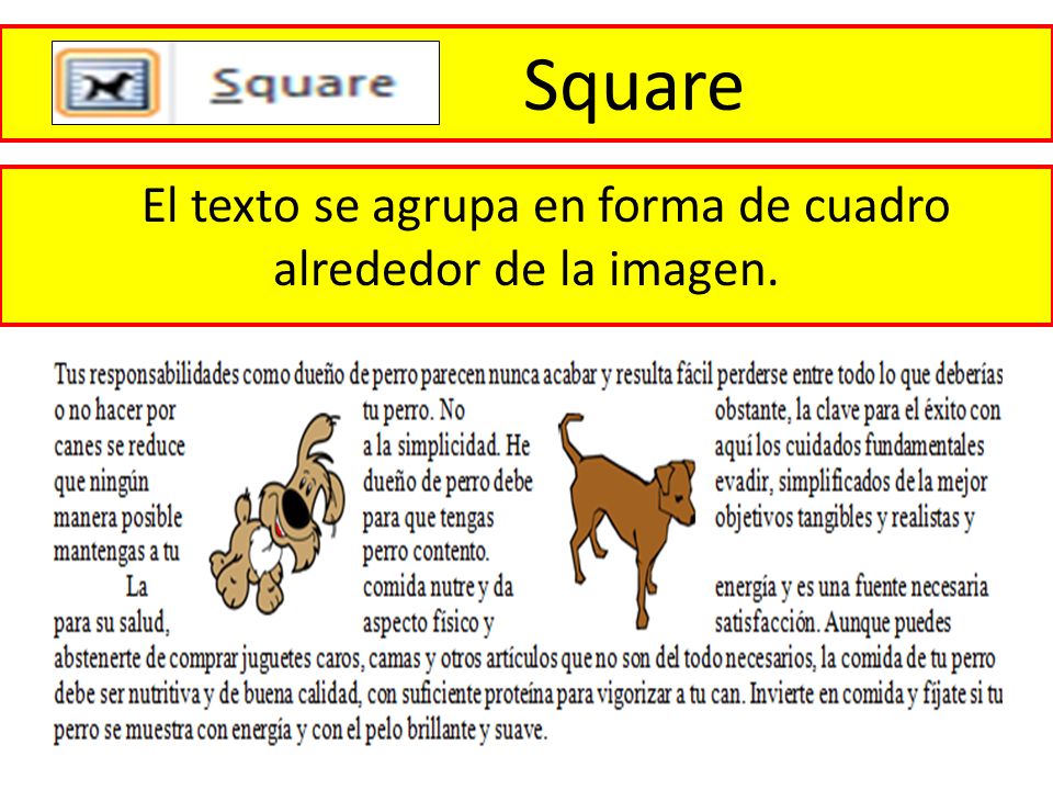 El texto se agrupa en forma de cuadro alrededor de la imagen.