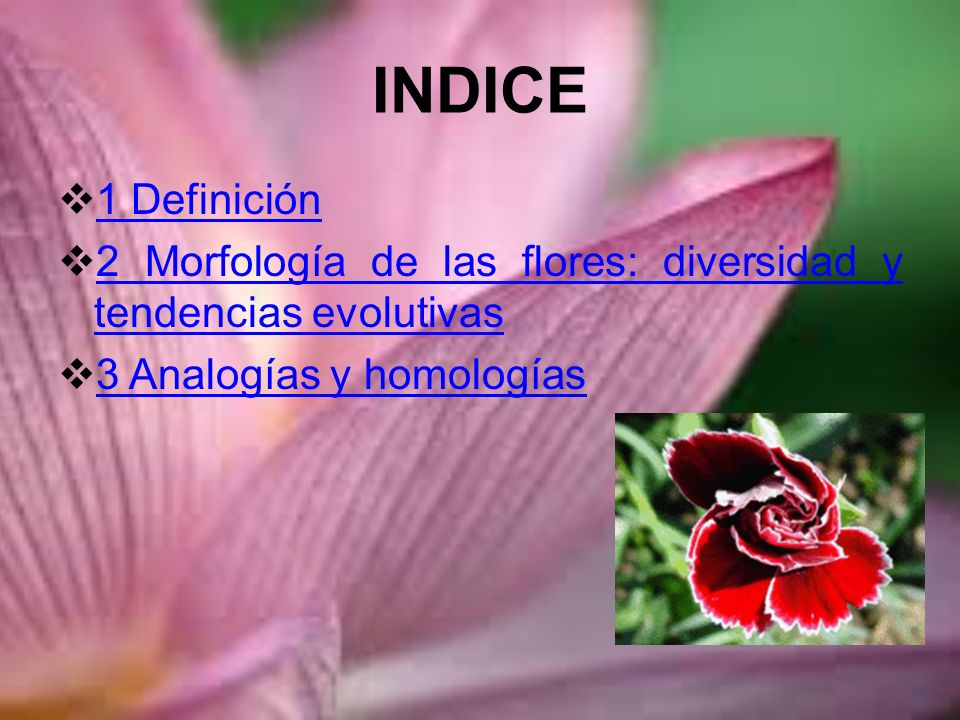 INDICE 1 Definición. 2 Morfología de las flores: diversidad y tendencias evolutivas.