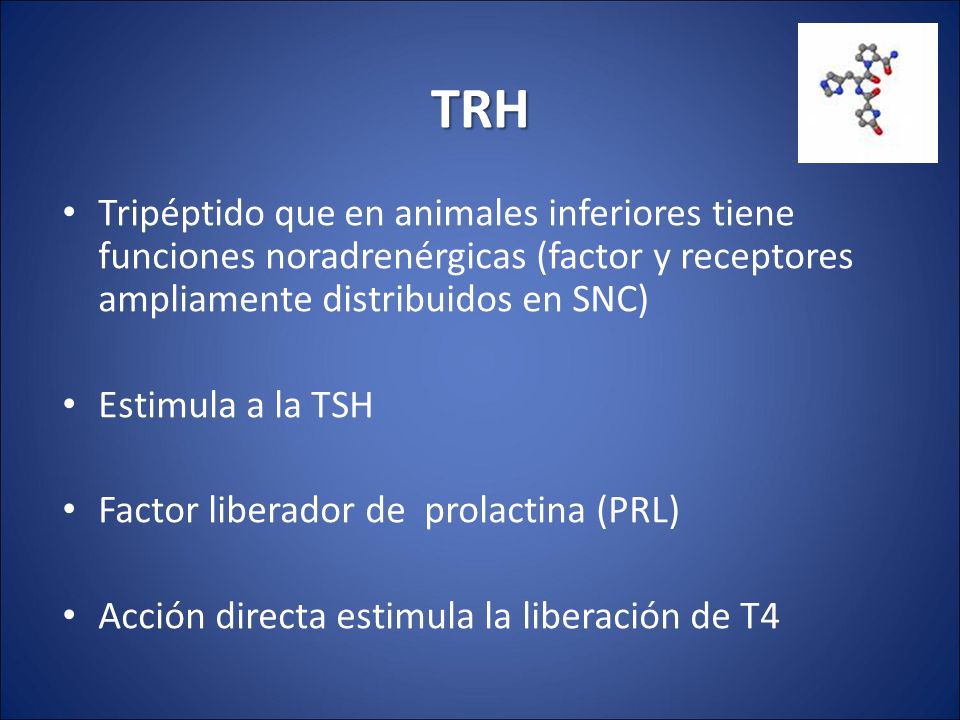 TRH Tripéptido que en animales inferiores tiene funciones noradrenérgicas (factor y receptores ampliamente distribuidos en SNC)