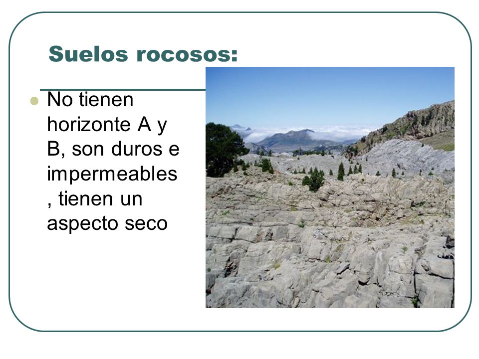 Suelos rocosos: No tienen horizonte A y B, son duros e impermeables, tienen un aspecto seco