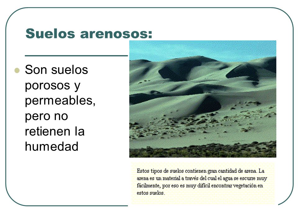 Suelos arenosos: Son suelos porosos y permeables, pero no retienen la humedad