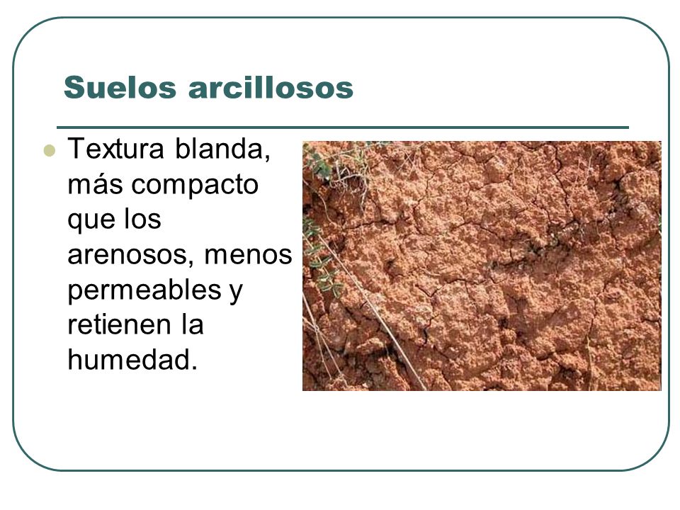 Suelos arcillosos Textura blanda, más compacto que los arenosos, menos permeables y retienen la humedad.