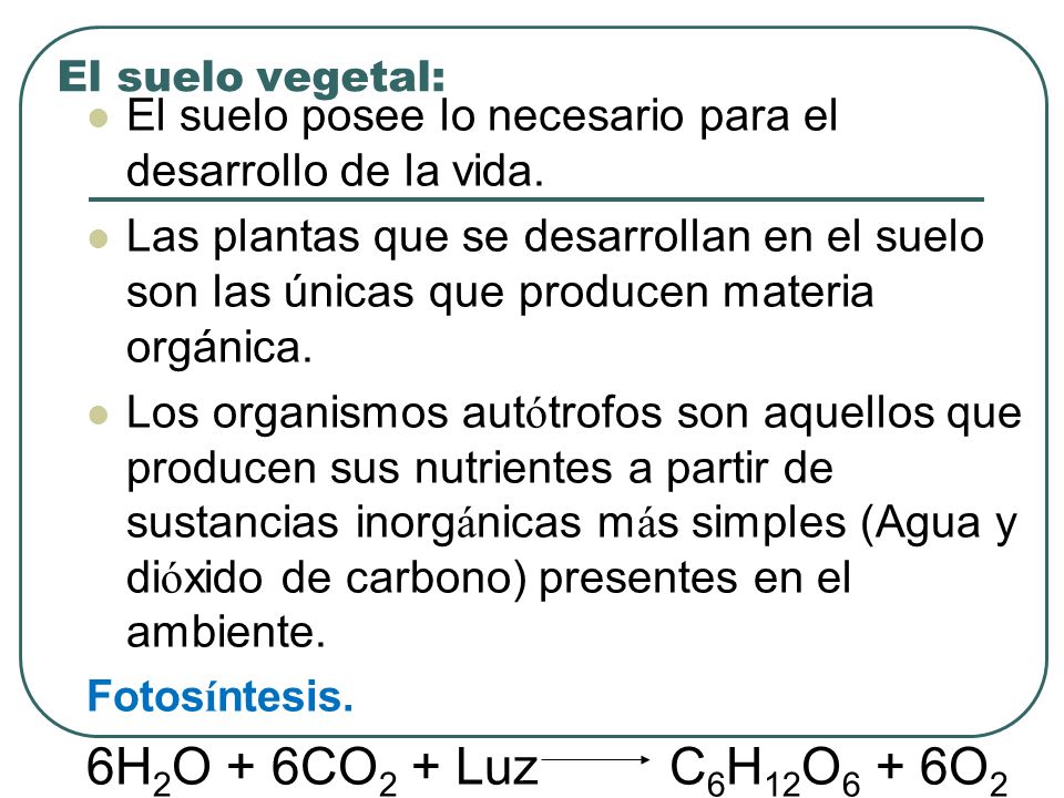 El suelo vegetal: El suelo posee lo necesario para el desarrollo de la vida.