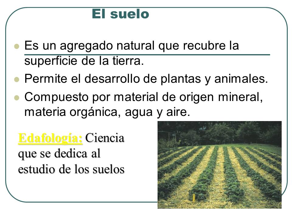 El suelo Edafología: Ciencia que se dedica al estudio de los suelos