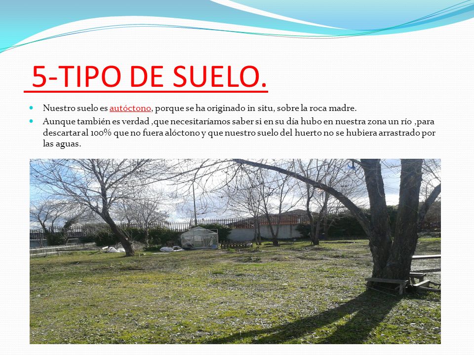 5-TIPO DE SUELO. Nuestro suelo es autóctono, porque se ha originado in situ, sobre la roca madre.