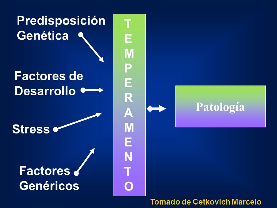 Predisposición T Genética E M P R A Factores de Desarrollo N Patología