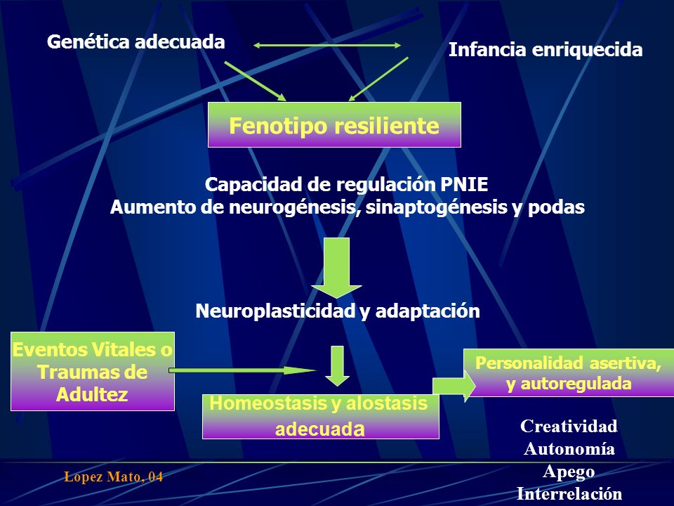 Fenotipo resiliente Genética adecuada Infancia enriquecida