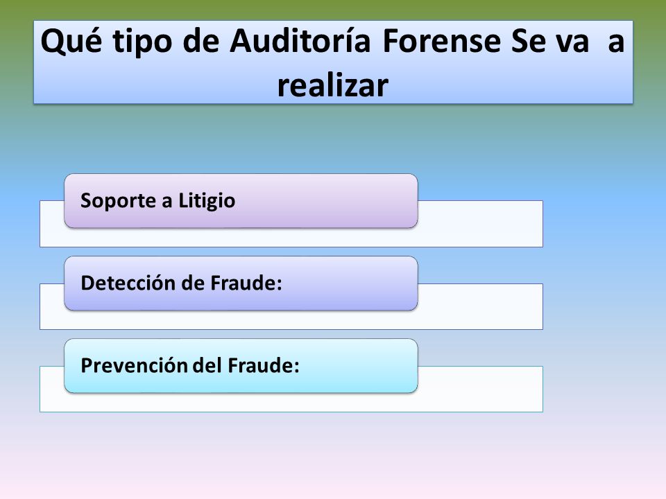 Qué tipo de Auditoría Forense Se va a realizar