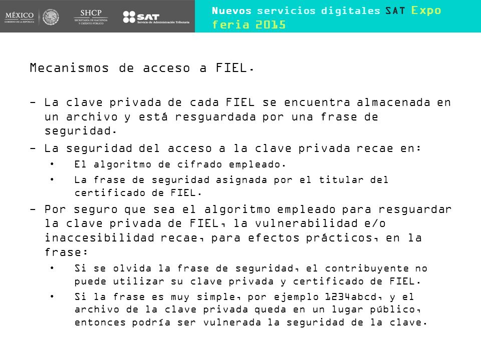 Mecanismos de acceso a FIEL.