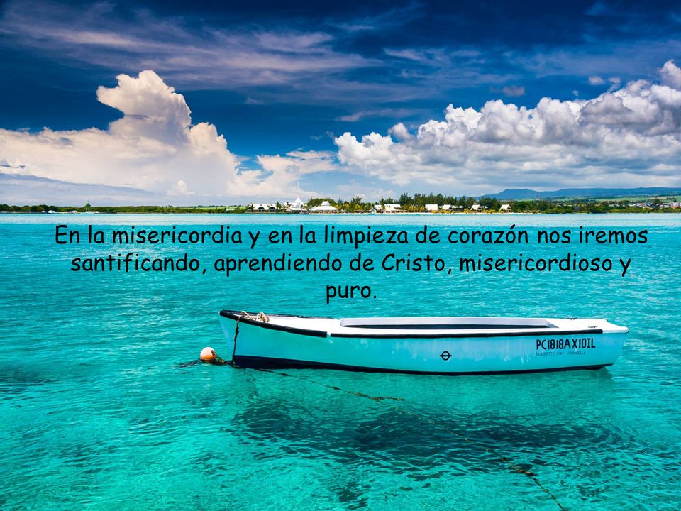 En la misericordia y en la limpieza de corazón nos iremos santificando, aprendiendo de Cristo, misericordioso y puro.