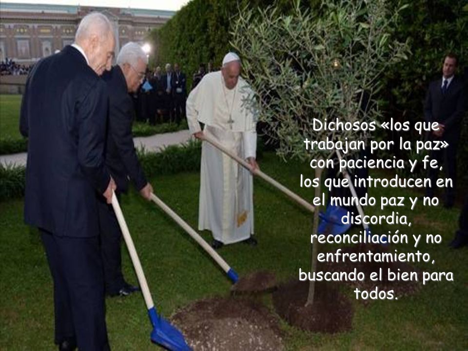 Dichosos «los que trabajan por la paz» con paciencia y fe, los que introducen en el mundo paz y no discordia, reconciliación y no enfrentamiento, buscando el bien para todos.