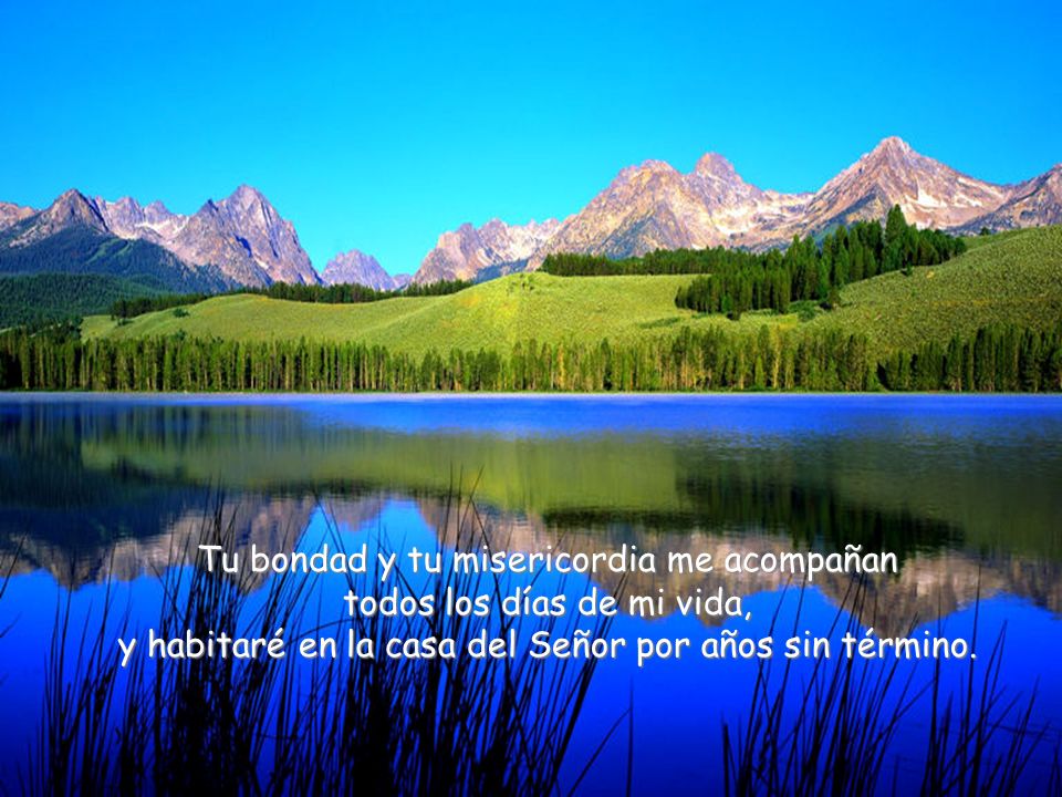 Tu bondad y tu misericordia me acompañan todos los días de mi vida,
