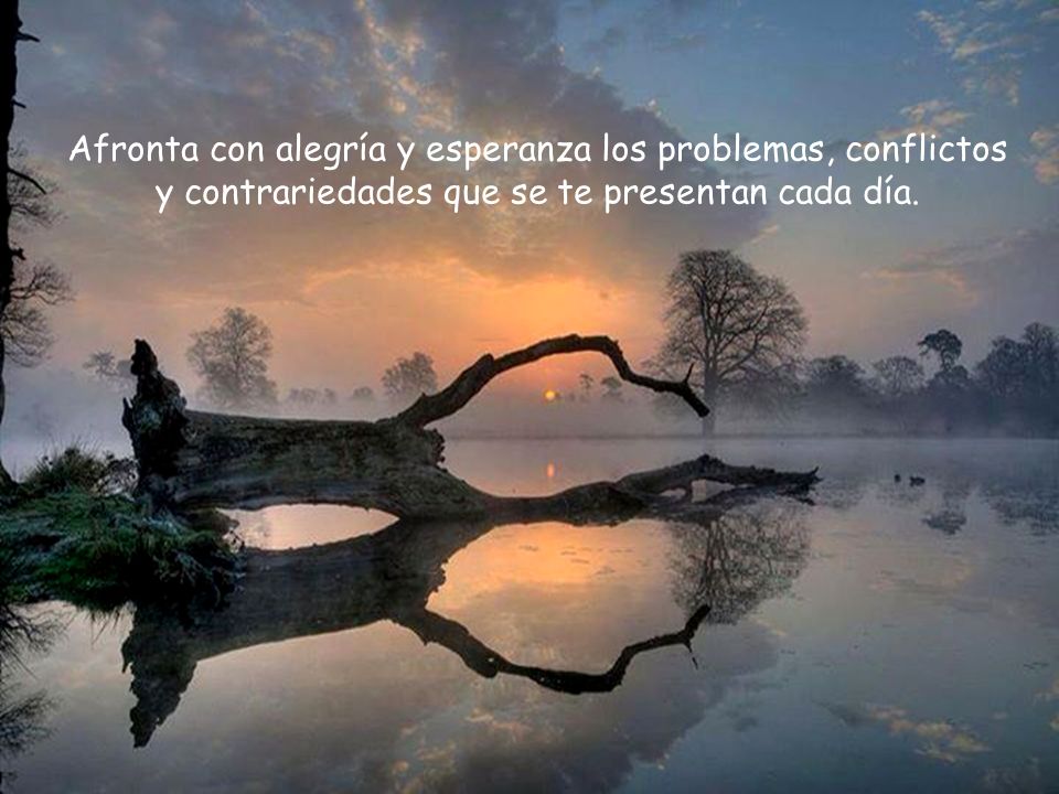 Afronta con alegría y esperanza los problemas, conflictos y contrariedades que se te presentan cada día.