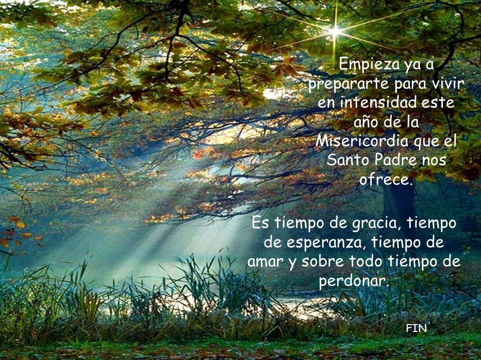 Empieza ya a prepararte para vivir en intensidad este año de la Misericordia que el Santo Padre nos ofrece.