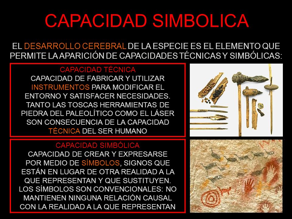 CAPACIDAD SIMBOLICA EL DESARROLLO CEREBRAL DE LA ESPECIE ES EL ELEMENTO QUE PERMITE LA APARICIÓN DE CAPACIDADES TÉCNICAS Y SIMBÓLICAS: