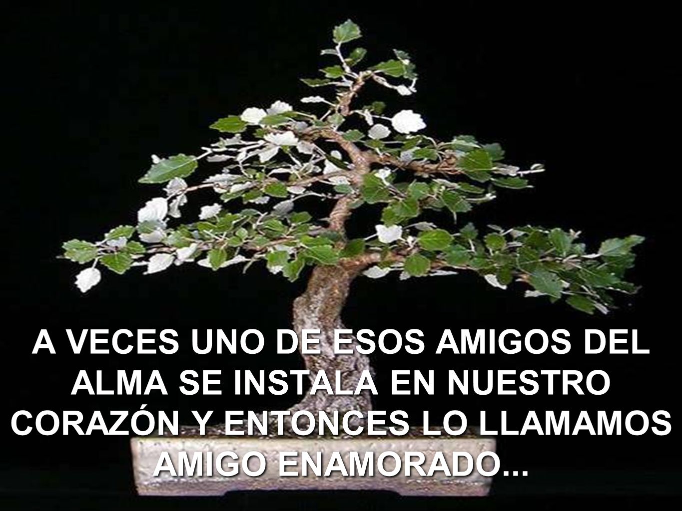 A VECES UNO DE ESOS AMIGOS DEL ALMA SE INSTALA EN NUESTRO CORAZÓN Y ENTONCES LO LLAMAMOS AMIGO ENAMORADO...