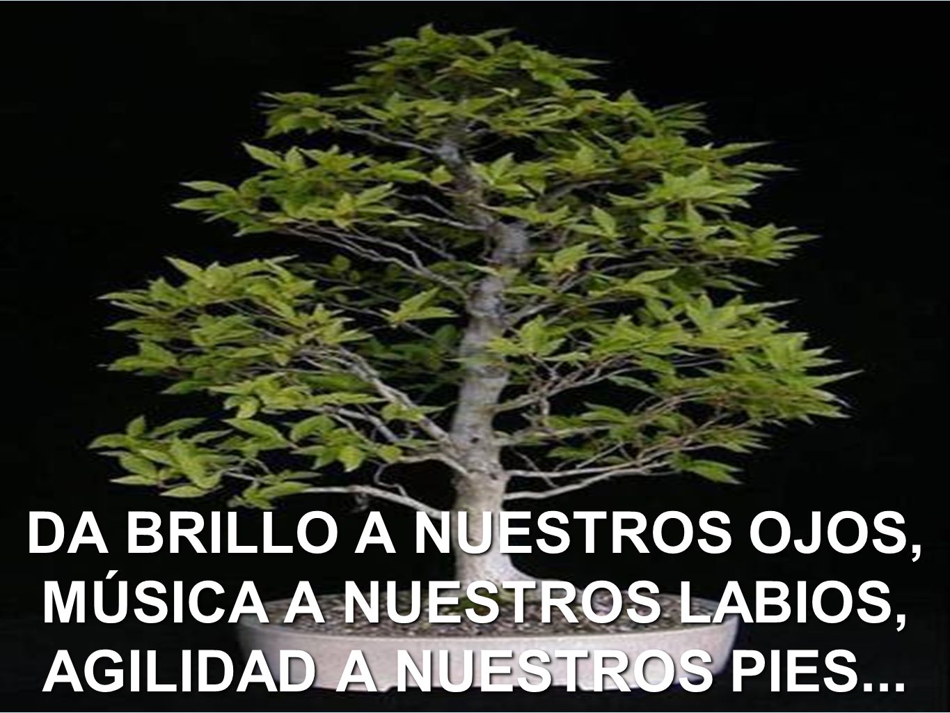 DA BRILLO A NUESTROS OJOS, MÚSICA A NUESTROS LABIOS, AGILIDAD A NUESTROS PIES...