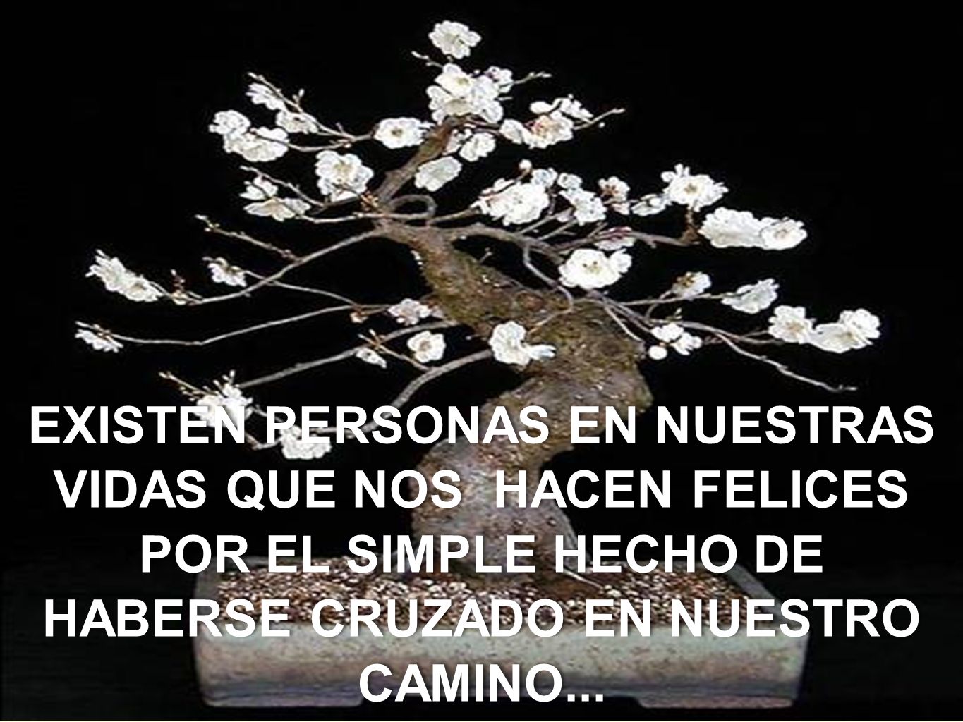 EXISTEN PERSONAS EN NUESTRAS VIDAS QUE NOS HACEN FELICES POR EL SIMPLE HECHO DE HABERSE CRUZADO EN NUESTRO CAMINO...