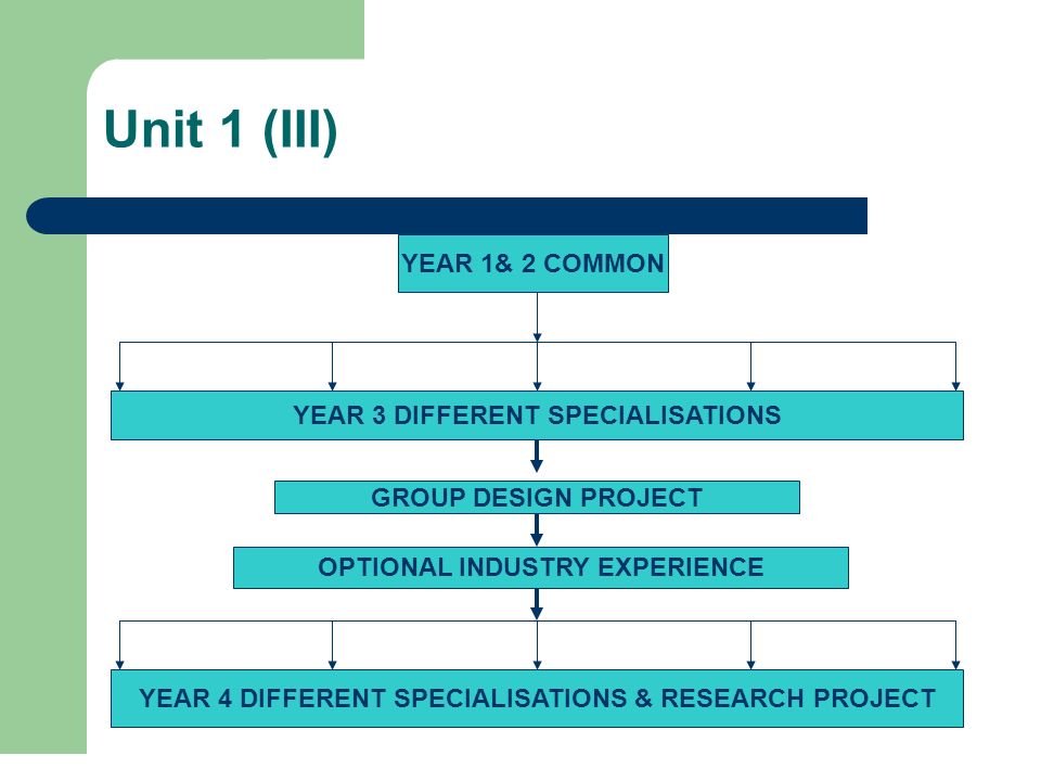 Unit 1 (III) YEAR 1& 2 COMMON YEAR 3 DIFFERENT SPECIALISATIONS