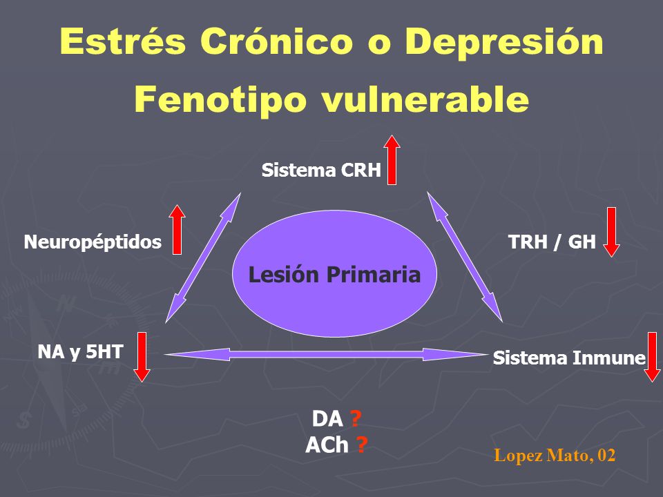 Estrés Crónico o Depresión Fenotipo vulnerable