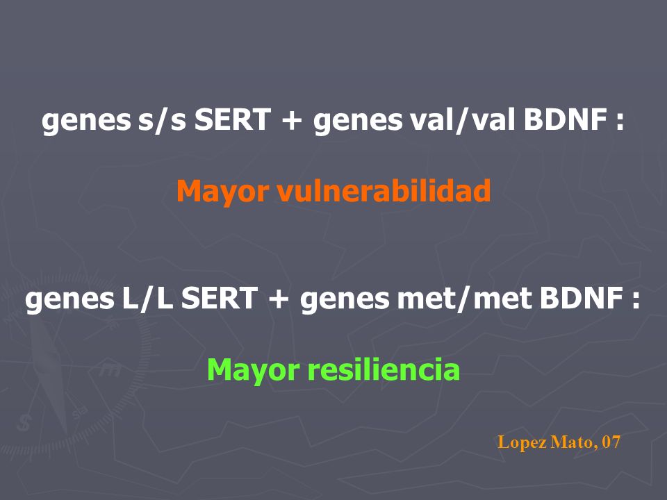 genes s/s SERT + genes val/val BDNF : Mayor vulnerabilidad