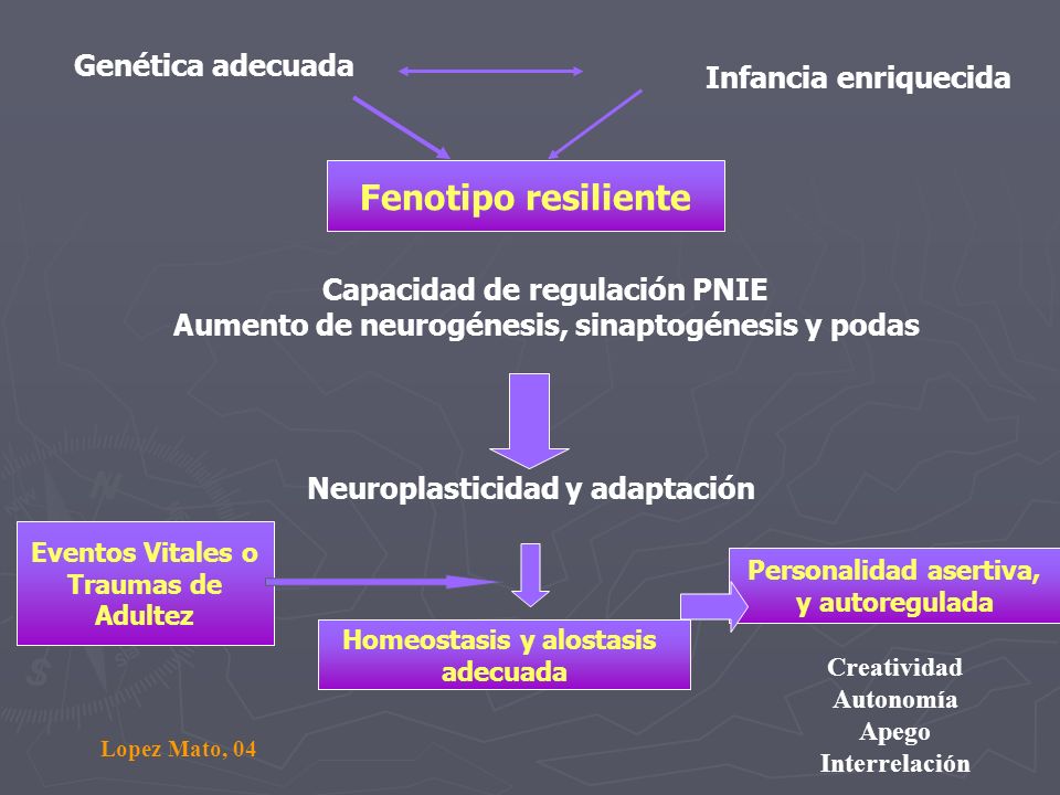 Fenotipo resiliente Genética adecuada Infancia enriquecida