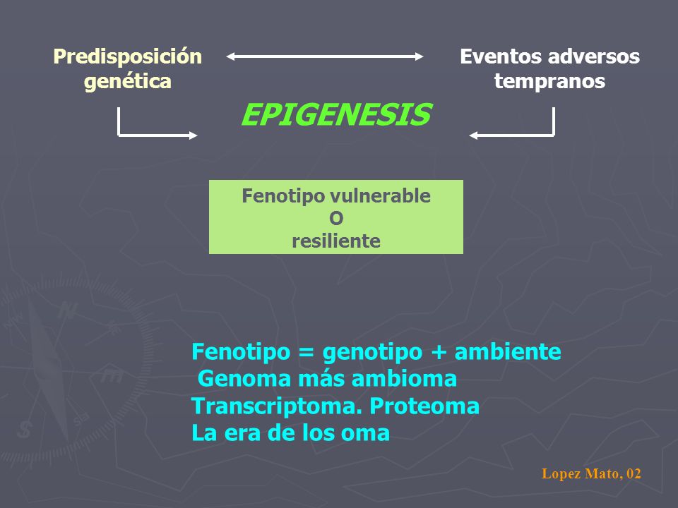 EPIGENESIS Fenotipo = genotipo + ambiente Genoma más ambioma