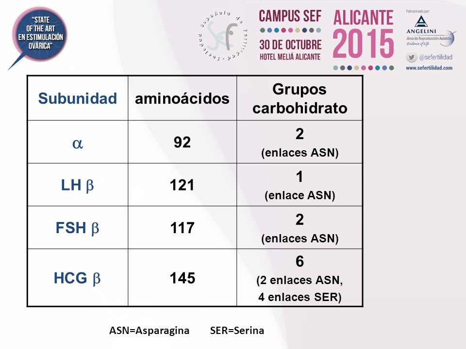 a Subunidad aminoácidos Grupos carbohidrato 92 2 LH b FSH b 117