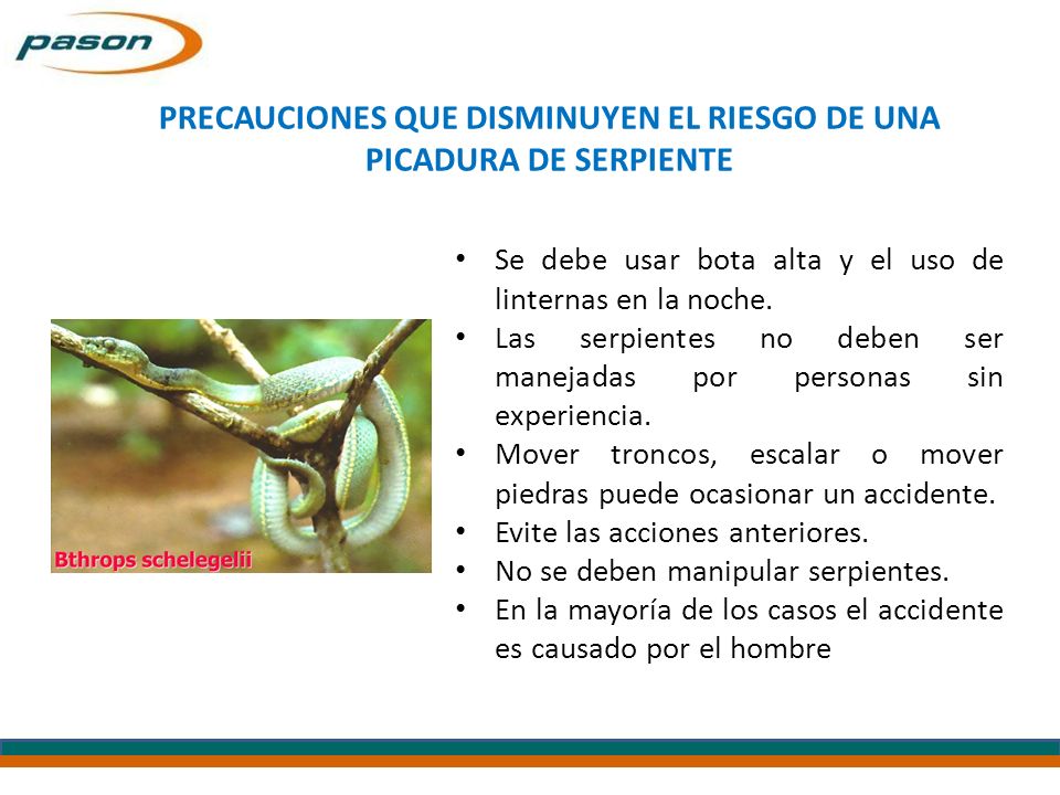 PRECAUCIONES QUE DISMINUYEN EL RIESGO DE UNA PICADURA DE SERPIENTE