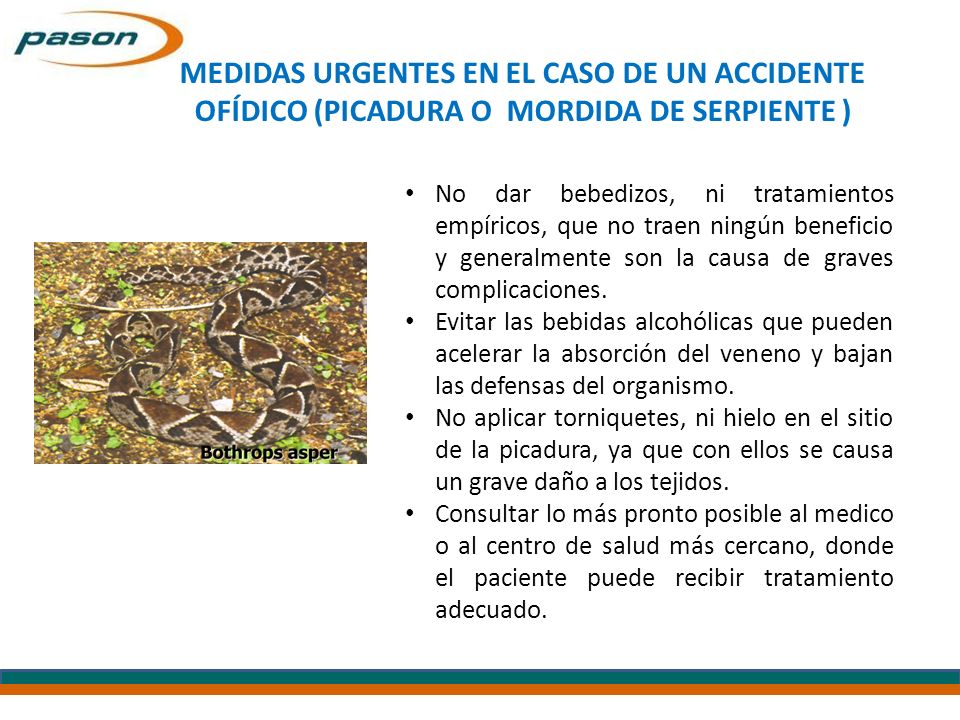MEDIDAS URGENTES EN EL CASO DE UN ACCIDENTE OFÍDICO (PICADURA O MORDIDA DE SERPIENTE )