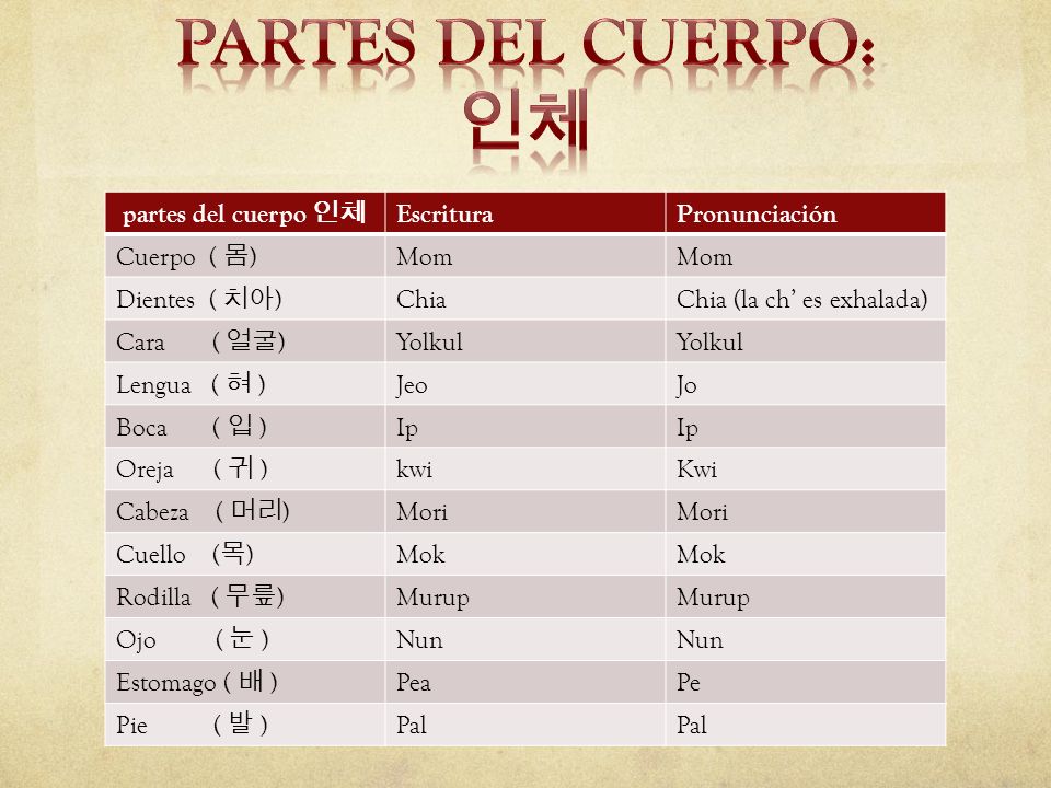 Partes del cuerpo: 인체 partes del cuerpo 인체 Escritura Pronunciación