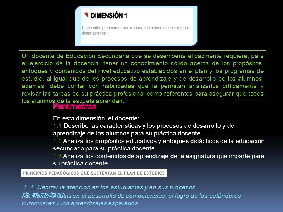 Un docente de Educación Secundaria que se desempeña eficazmente requiere, para el ejercicio de la docencia, tener un conocimiento sólido acerca de los propósitos, enfoques y contenidos del nivel educativo establecidos en el plan y los programas de estudio, al igual que de los procesos de aprendizaje y de desarrollo de los alumnos; además, debe contar con habilidades que le permitan analizarlos críticamente y revisar las tareas de su práctica profesional como referentes para asegurar que todos los alumnos de la escuela aprendan.