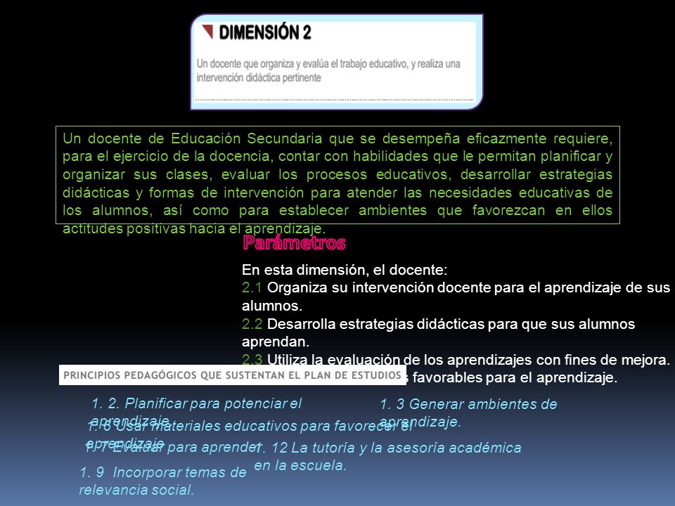Un docente de Educación Secundaria que se desempeña eficazmente requiere, para el ejercicio de la docencia, contar con habilidades que le permitan planificar y organizar sus clases, evaluar los procesos educativos, desarrollar estrategias didácticas y formas de intervención para atender las necesidades educativas de los alumnos, así como para establecer ambientes que favorezcan en ellos actitudes positivas hacia el aprendizaje.