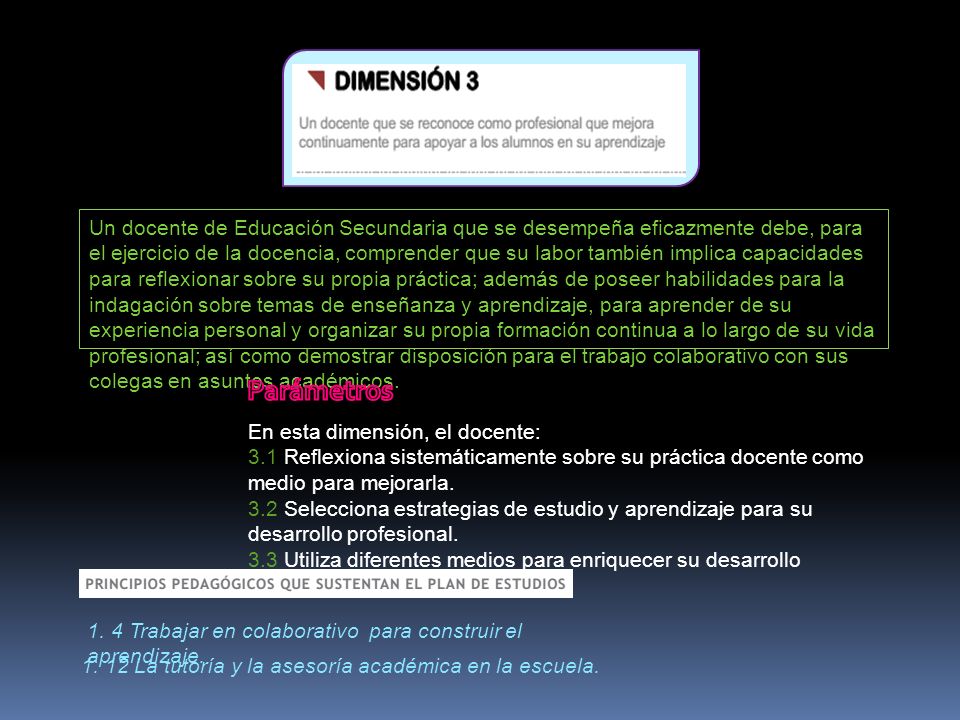 Un docente de Educación Secundaria que se desempeña eficazmente debe, para el ejercicio de la docencia, comprender que su labor también implica capacidades para reflexionar sobre su propia práctica; además de poseer habilidades para la indagación sobre temas de enseñanza y aprendizaje, para aprender de su experiencia personal y organizar su propia formación continua a lo largo de su vida profesional; así como demostrar disposición para el trabajo colaborativo con sus colegas en asuntos académicos.