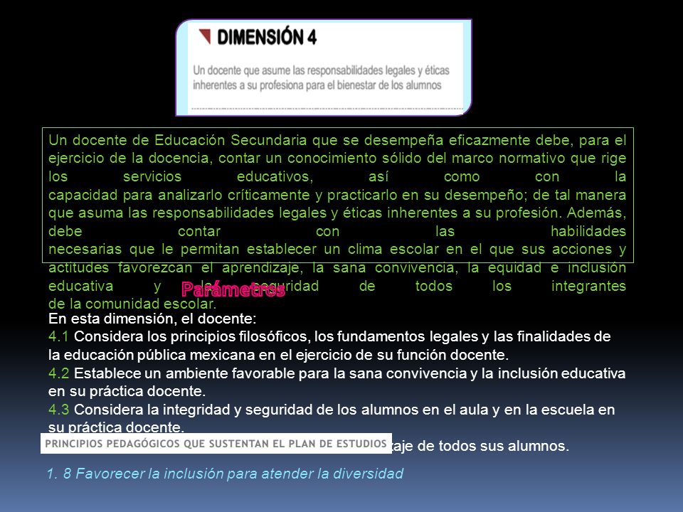 Un docente de Educación Secundaria que se desempeña eficazmente debe, para el ejercicio de la docencia, contar un conocimiento sólido del marco normativo que rige los servicios educativos, así como con la capacidad para analizarlo críticamente y practicarlo en su desempeño; de tal manera que asuma las responsabilidades legales y éticas inherentes a su profesión. Además, debe contar con las habilidades necesarias que le permitan establecer un clima escolar en el que sus acciones y actitudes favorezcan el aprendizaje, la sana convivencia, la equidad e inclusión educativa y la seguridad de todos los integrantes de la comunidad escolar.