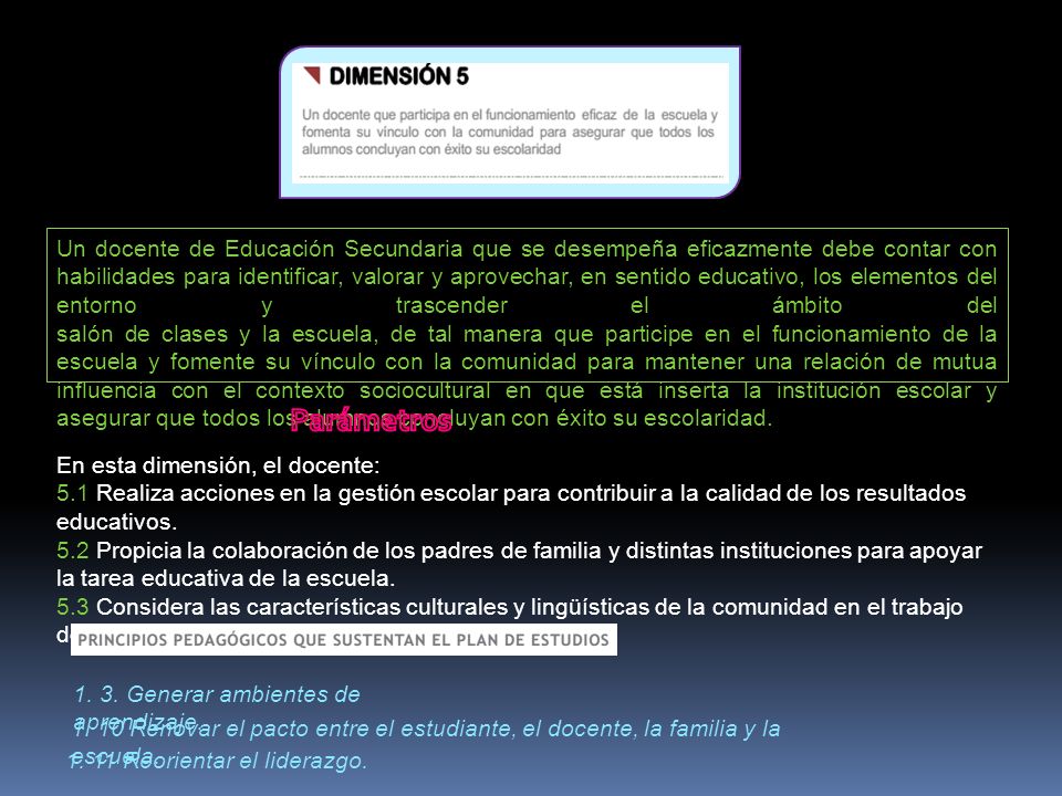 Un docente de Educación Secundaria que se desempeña eficazmente debe contar con habilidades para identificar, valorar y aprovechar, en sentido educativo, los elementos del entorno y trascender el ámbito del salón de clases y la escuela, de tal manera que participe en el funcionamiento de la escuela y fomente su vínculo con la comunidad para mantener una relación de mutua influencia con el contexto sociocultural en que está inserta la institución escolar y asegurar que todos los alumnos concluyan con éxito su escolaridad.