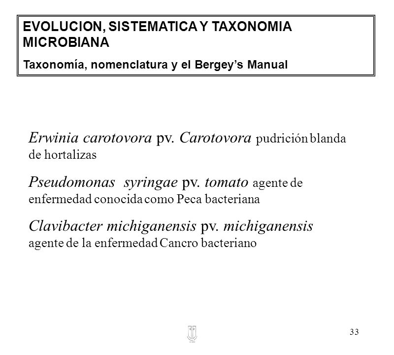 Erwinia carotovora pv. Carotovora pudrición blanda de hortalizas